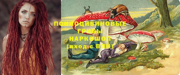 индика Балабаново