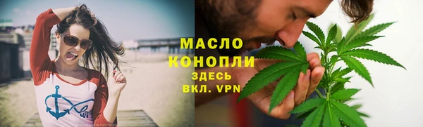 индика Балабаново