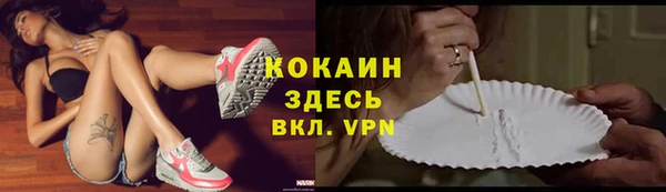 индика Балабаново