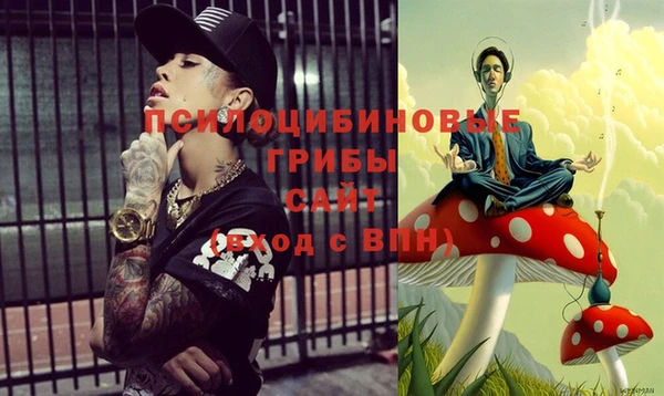 индика Балабаново