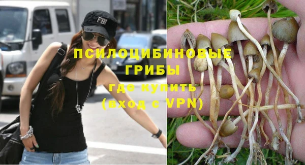 крисы Балахна