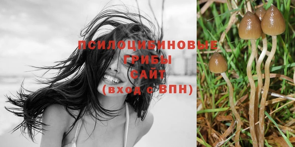индика Балабаново