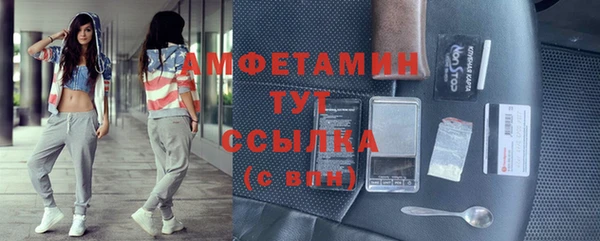 индика Балабаново