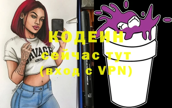 индика Балабаново