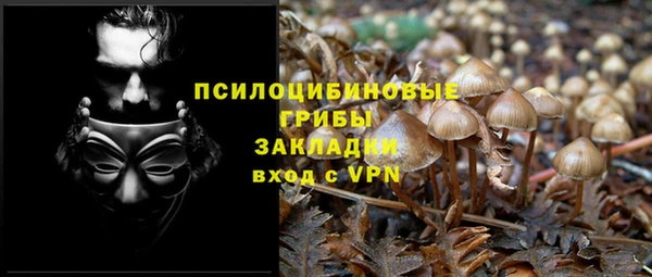 крисы Балахна