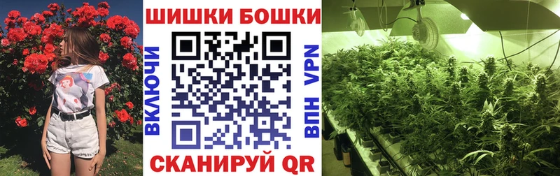 Бошки марихуана индика  где купить   Белинский 